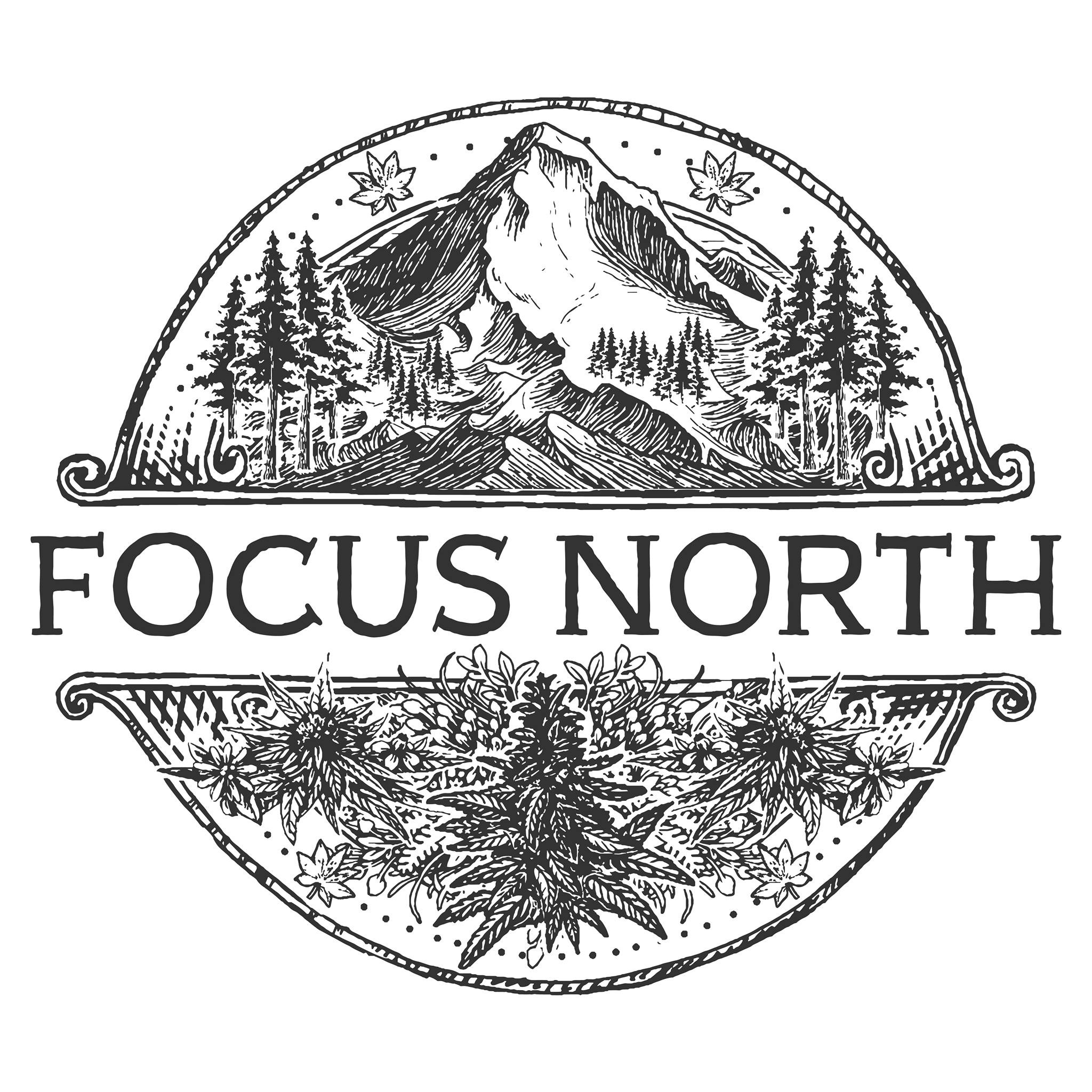 Focus North: Bomb By Focus North