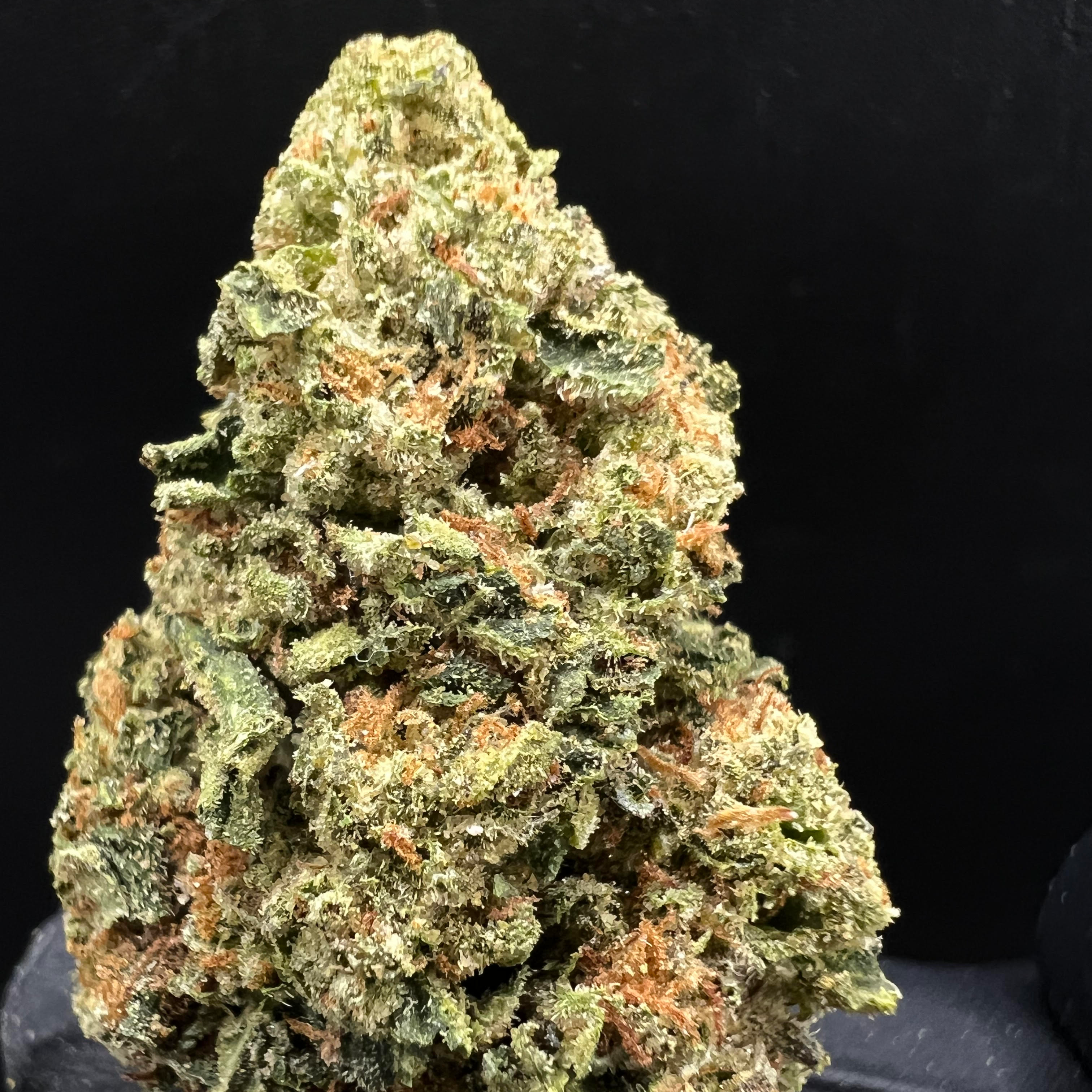 Kerby Kush Farms: Dosidos