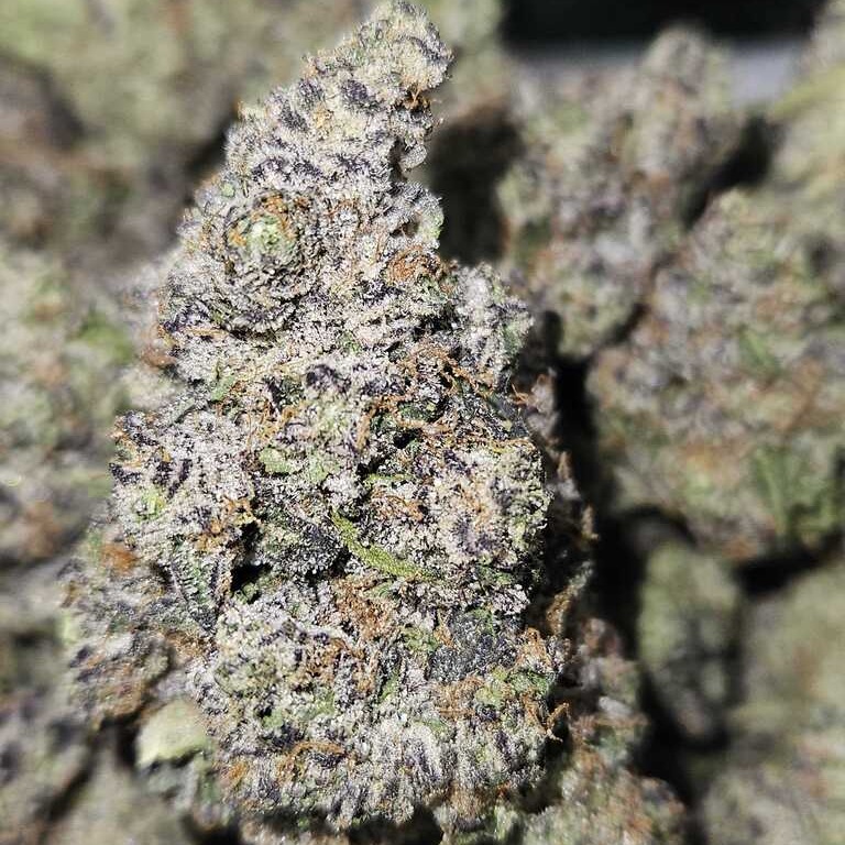 Rosebud Growers: Twisted Taffy