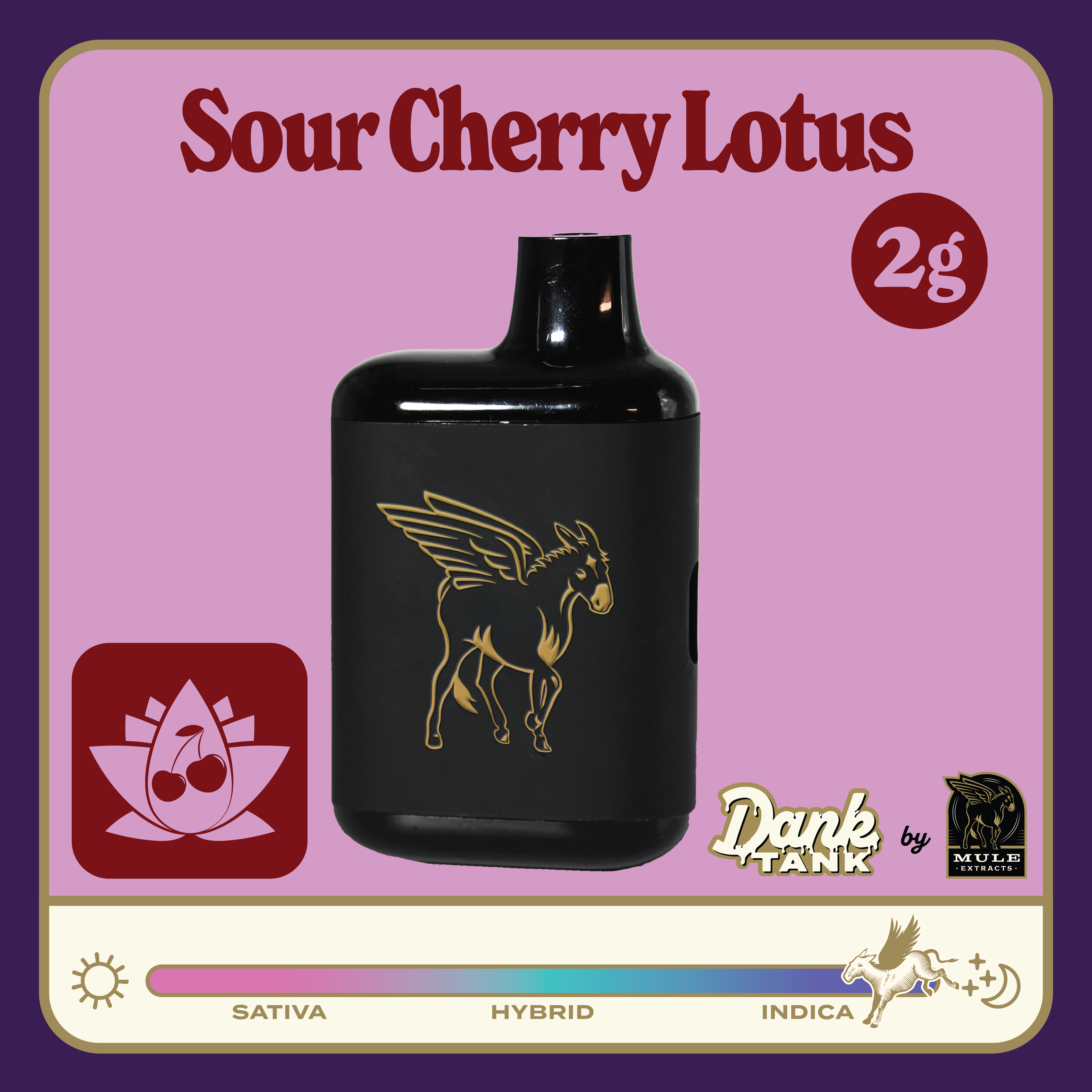 Mule Extracts: Sour Cherry Lotus