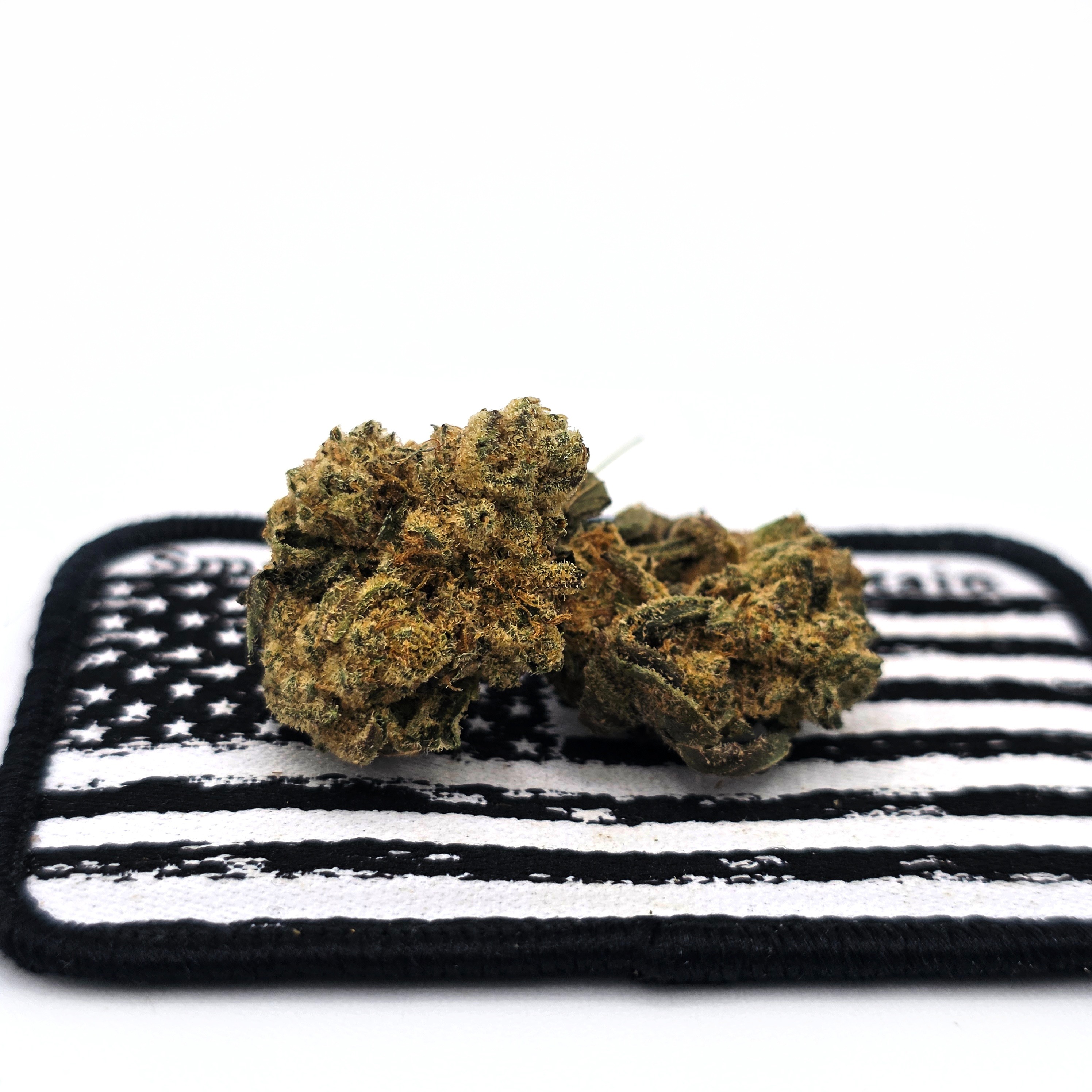 Oregon Roots: Holiday Special