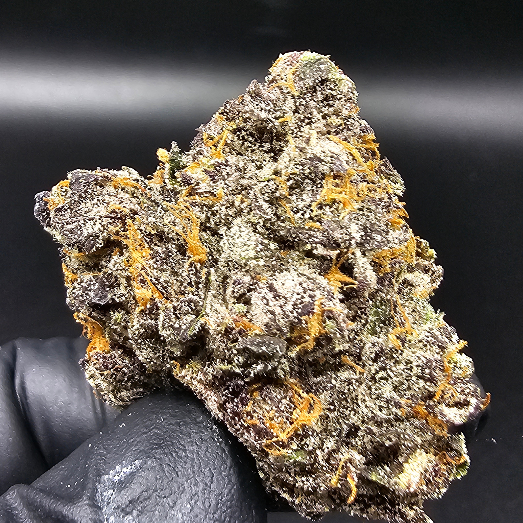 Urban Canna: Trap Candy