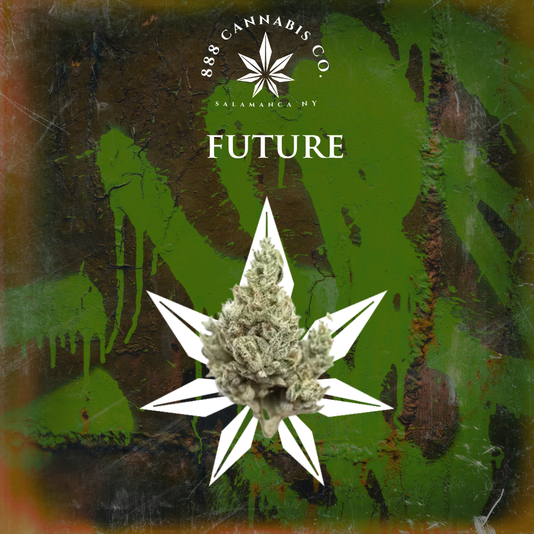 Future