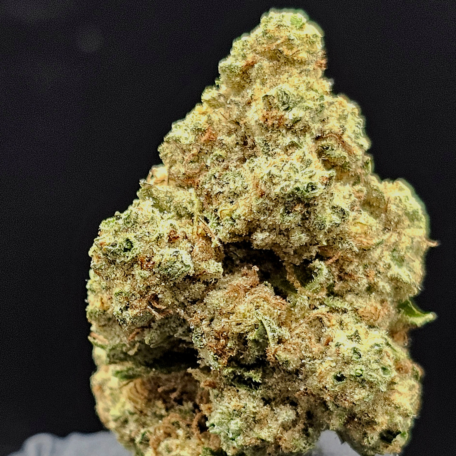 Williams Wonder Farms: Purple Punch