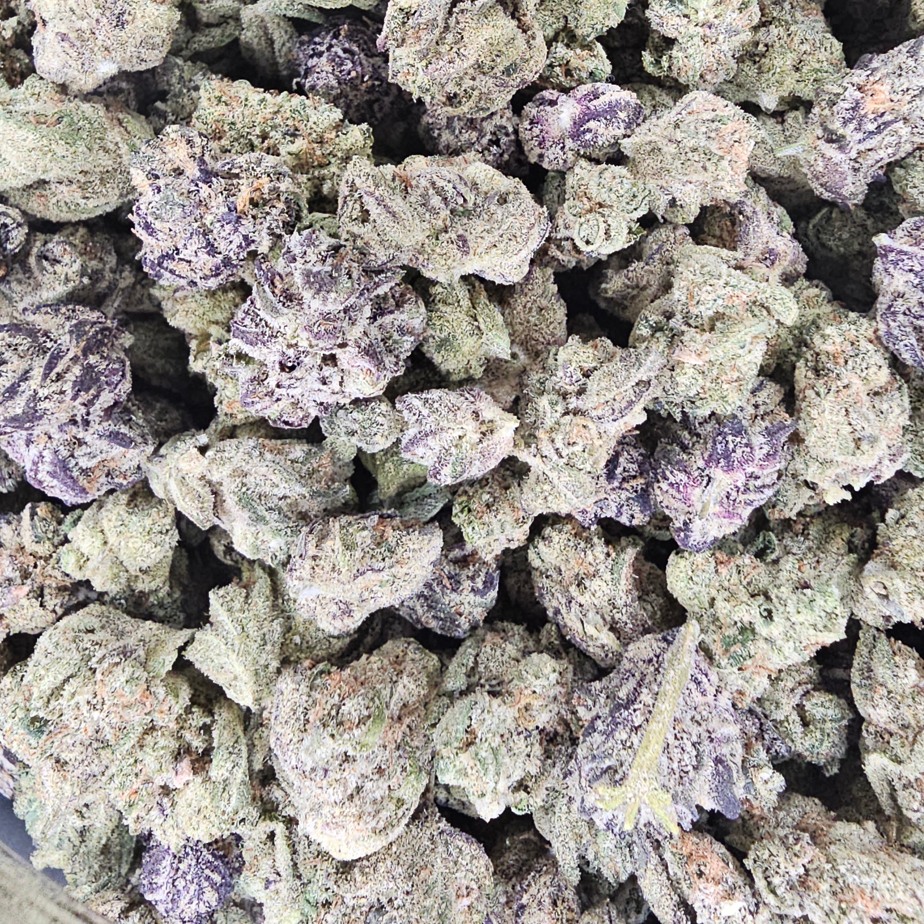 3J: Hazy Kush