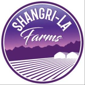Shangri-La Farms: Purple Push Pop X Cap Junky