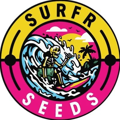 Surfr Select: Point Break