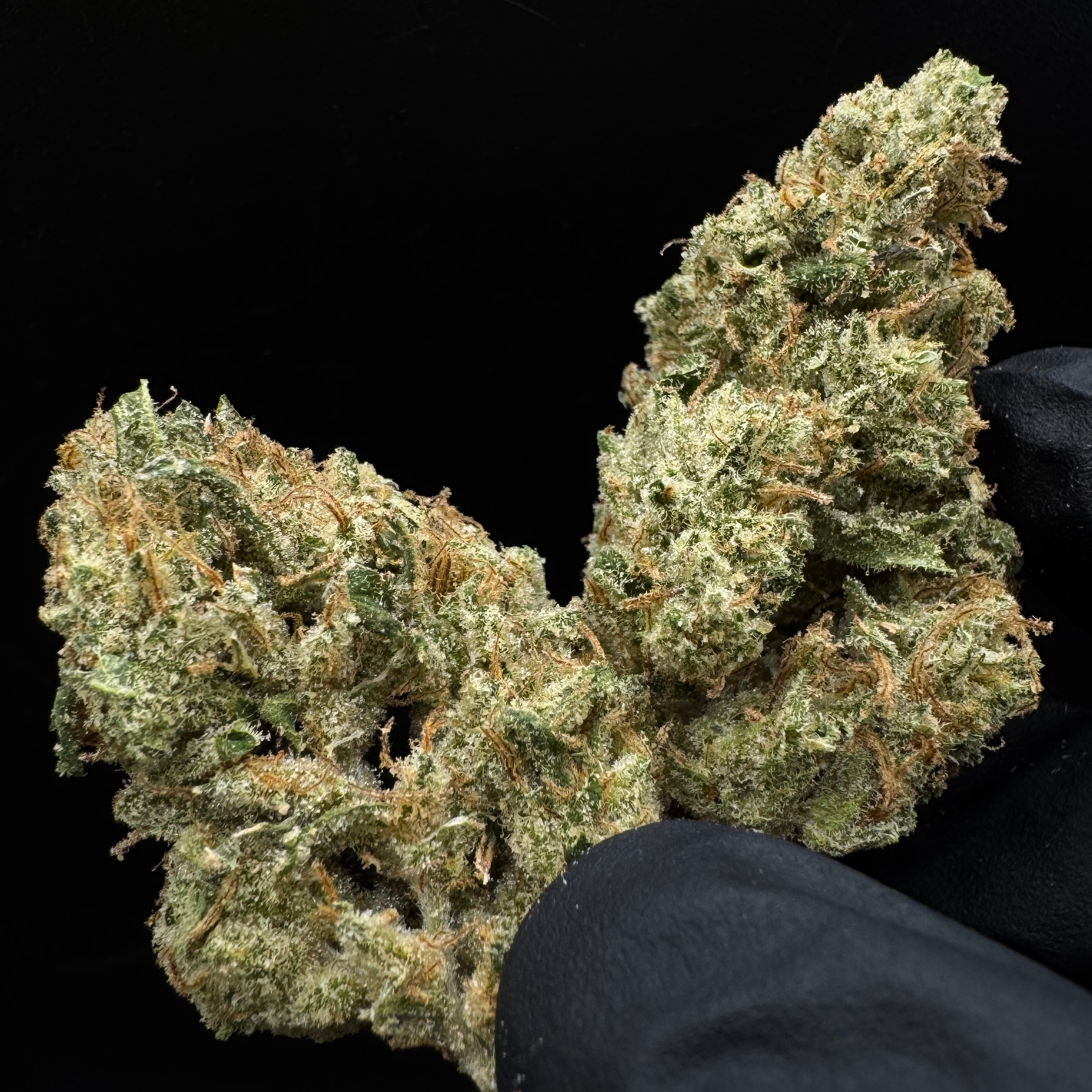 Resin Rancher's: Mt. Hood Magic