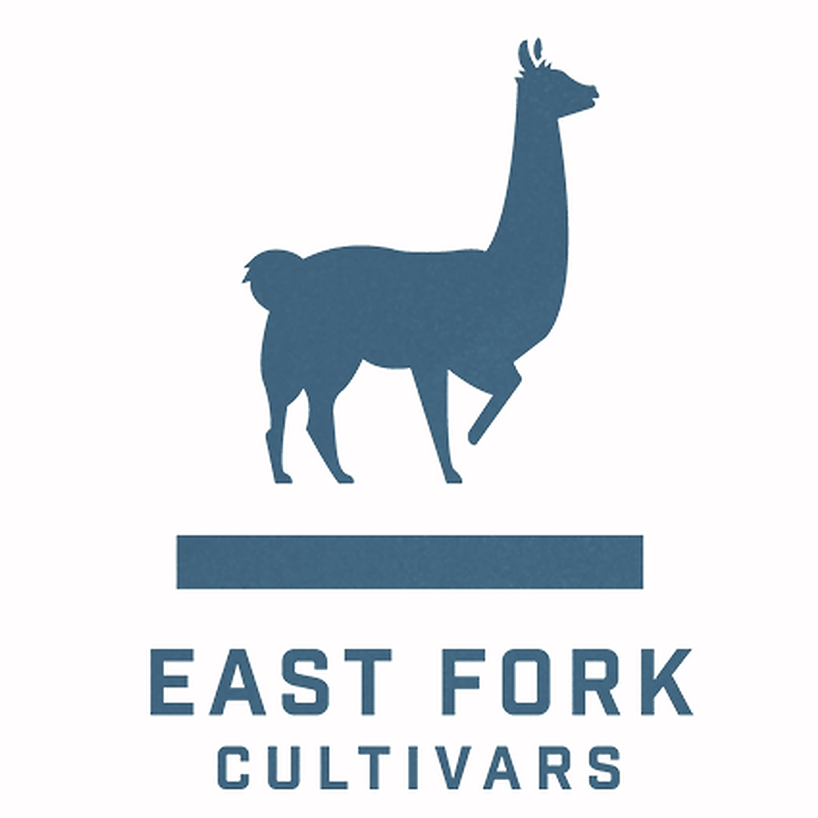 East Fork Cultivars: Pineapple Jgr