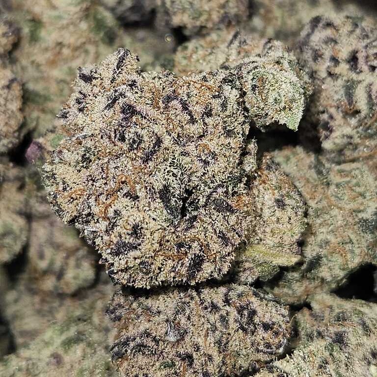 NUGZ FARM: White Duck