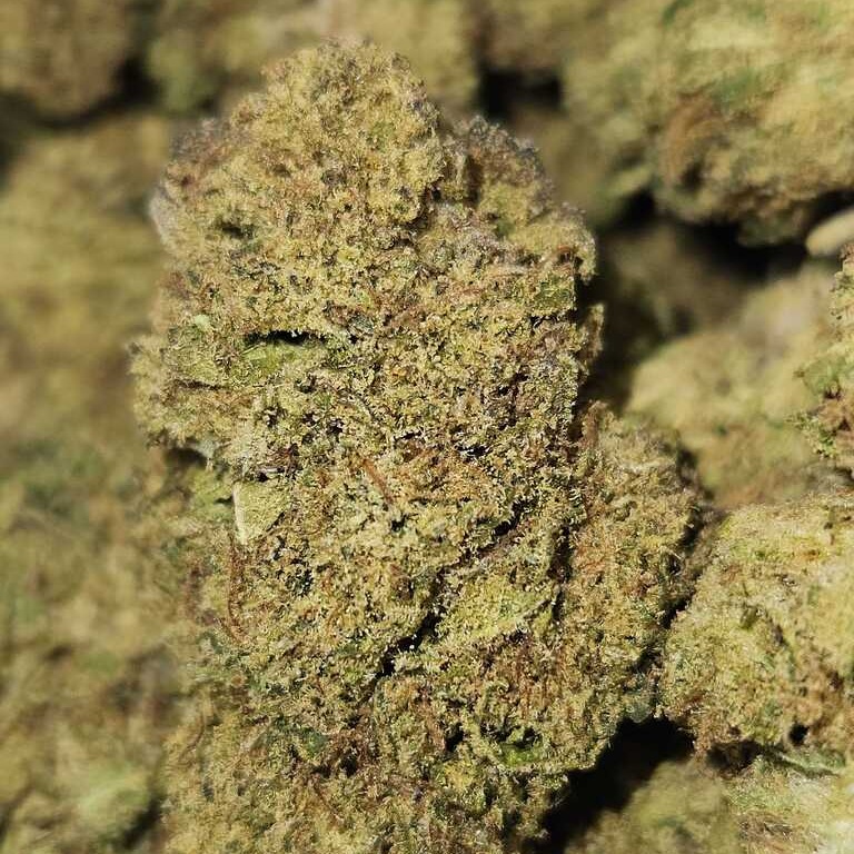 Left Coast Extracts: Gazz By Left Coast