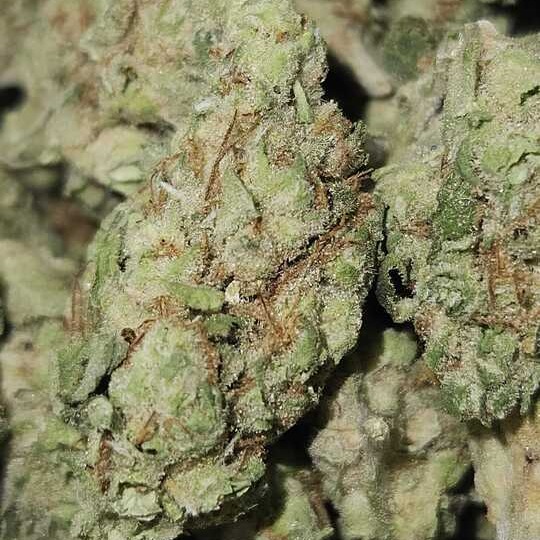 Sunlight Ridge: Citrus Sap