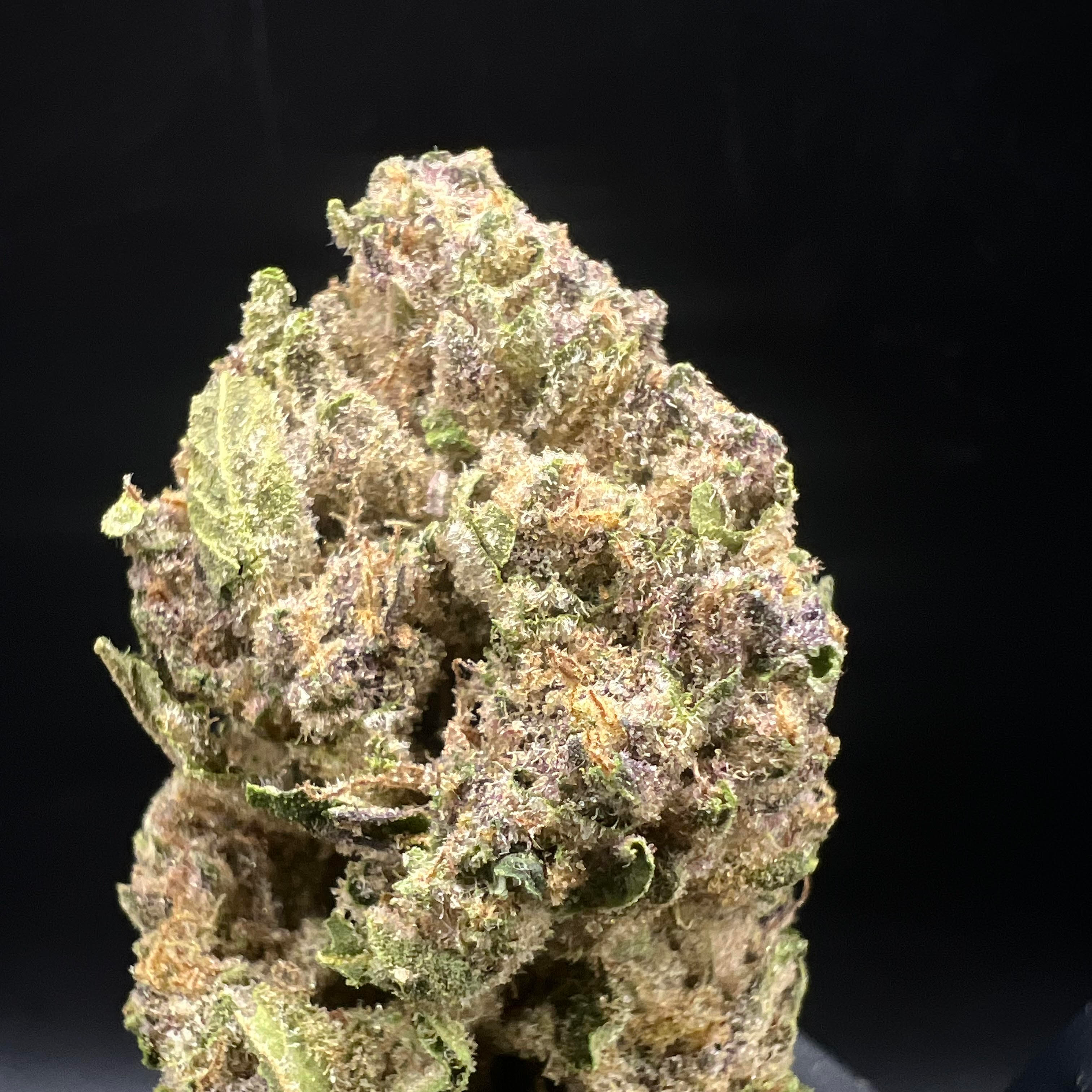 Williams Wonder Farms: Royal Feast