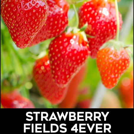 Freshy: Strawberry Fields 4Ever