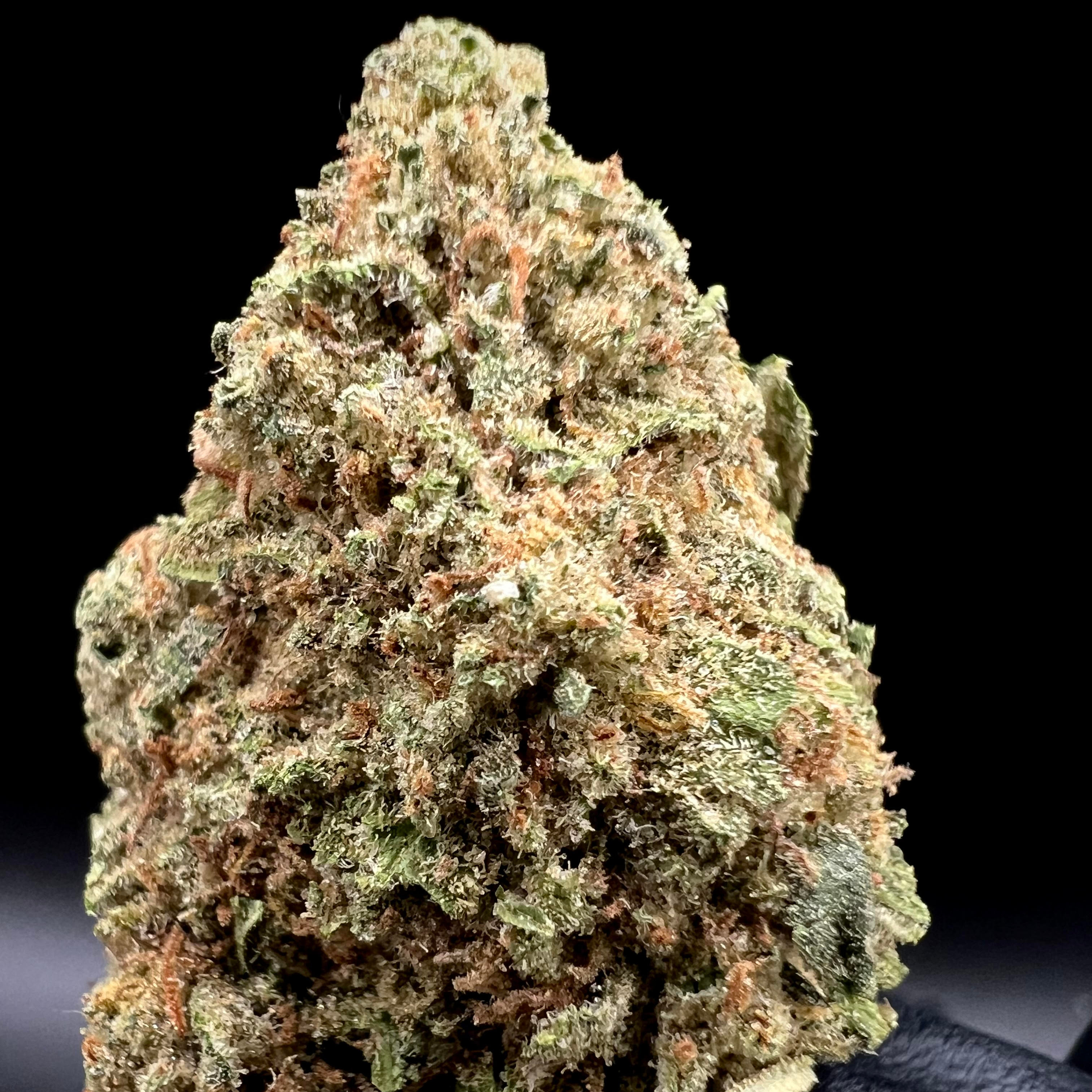Black Bottle Farms: *(MED) PopTarts