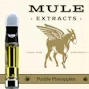 Mule Extracts: Peanut Butter Breath