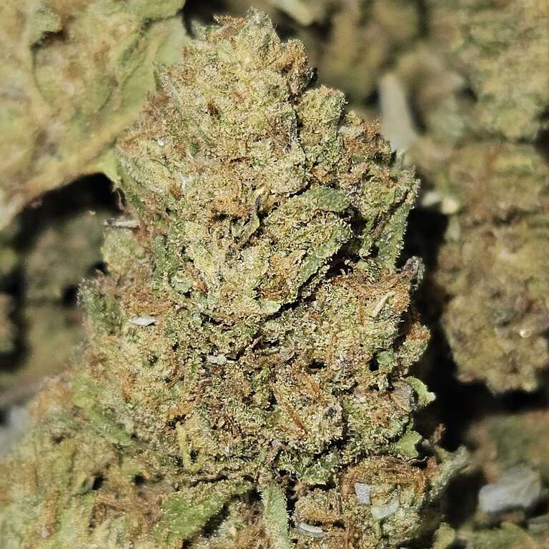 Mountain Top Extracts: Blueberry Muffin