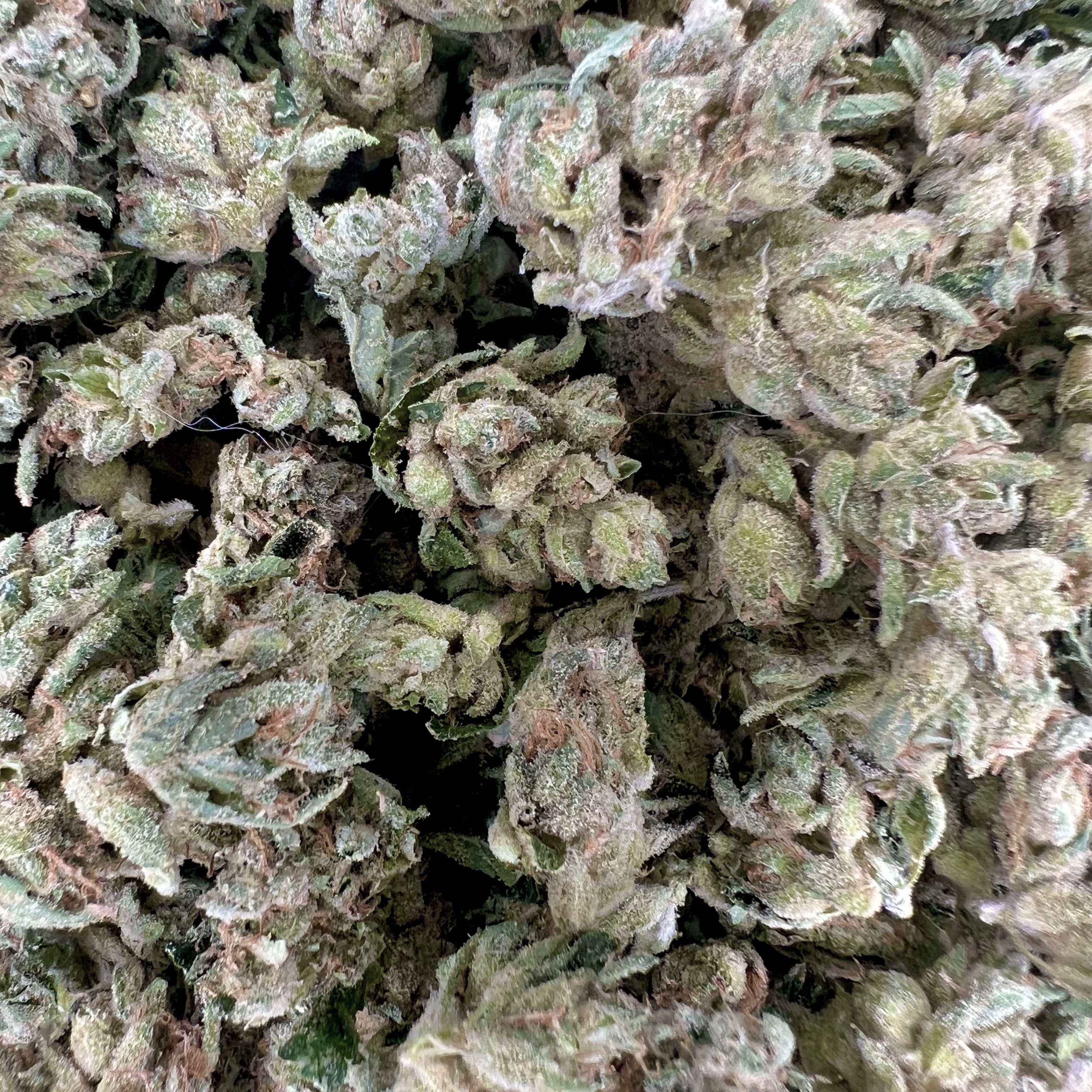 Resin Ranchers: Stardawg