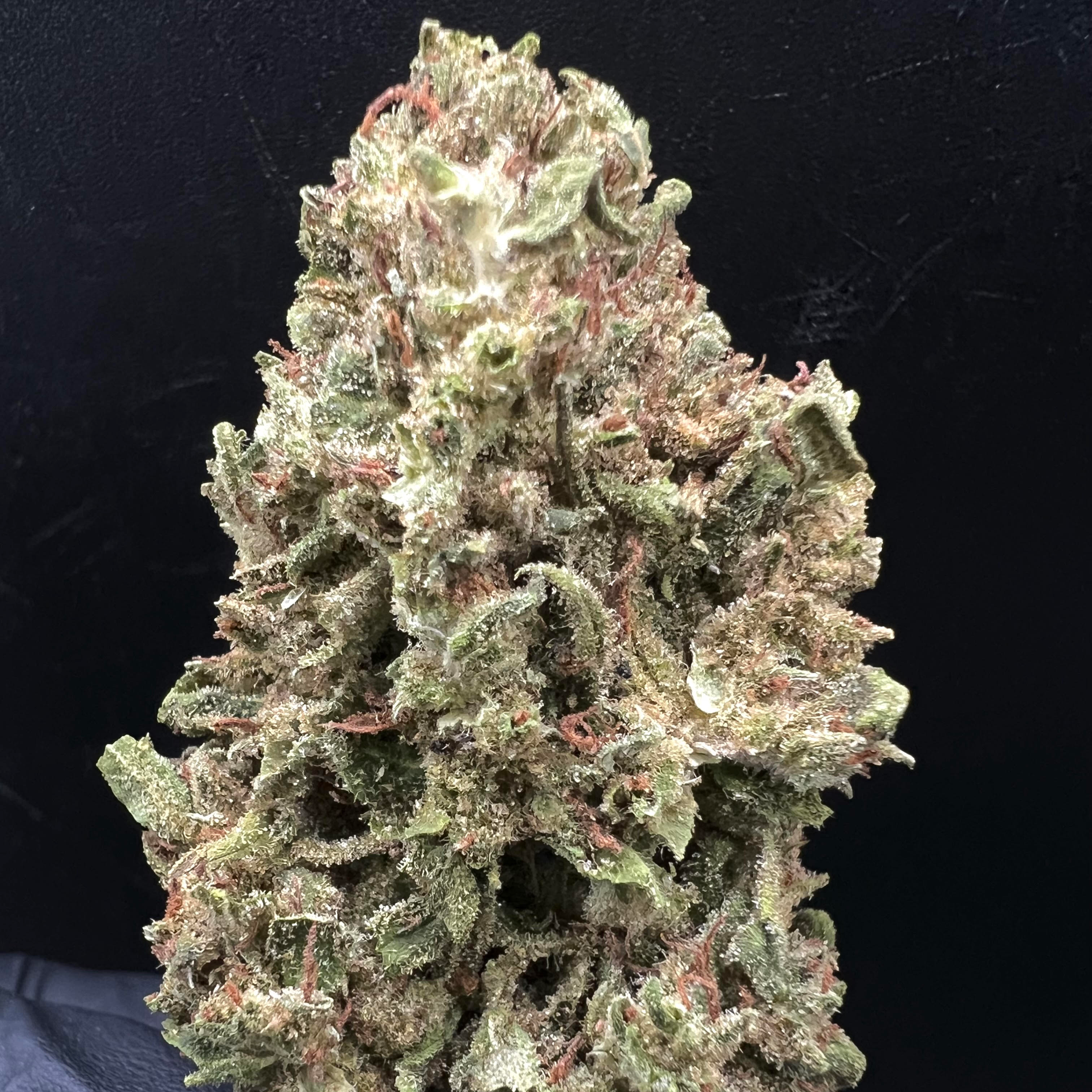 Williams Wonder Farms: *(MED) Pineapple