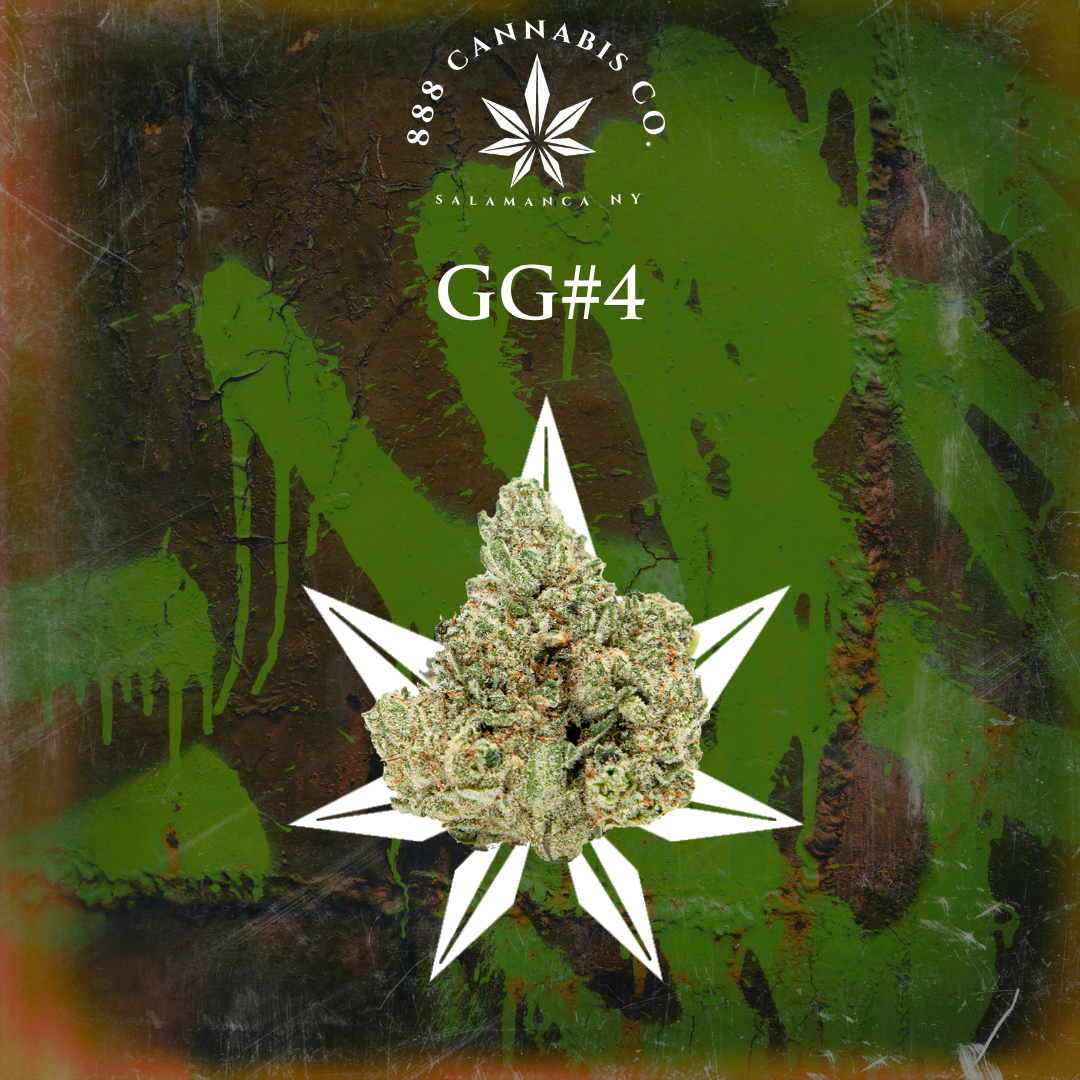 Original Glue