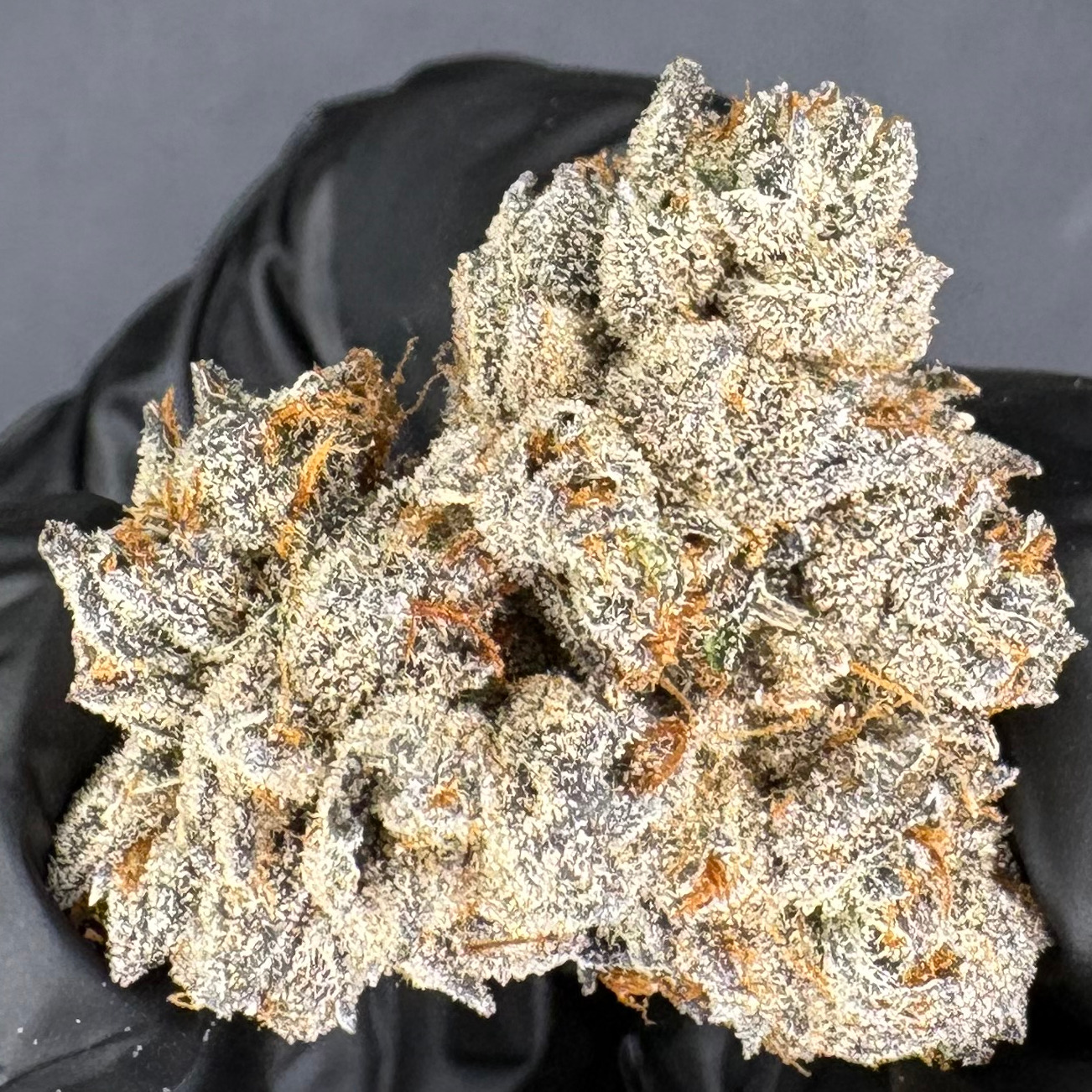 Resin Rancher's: Honey Buns