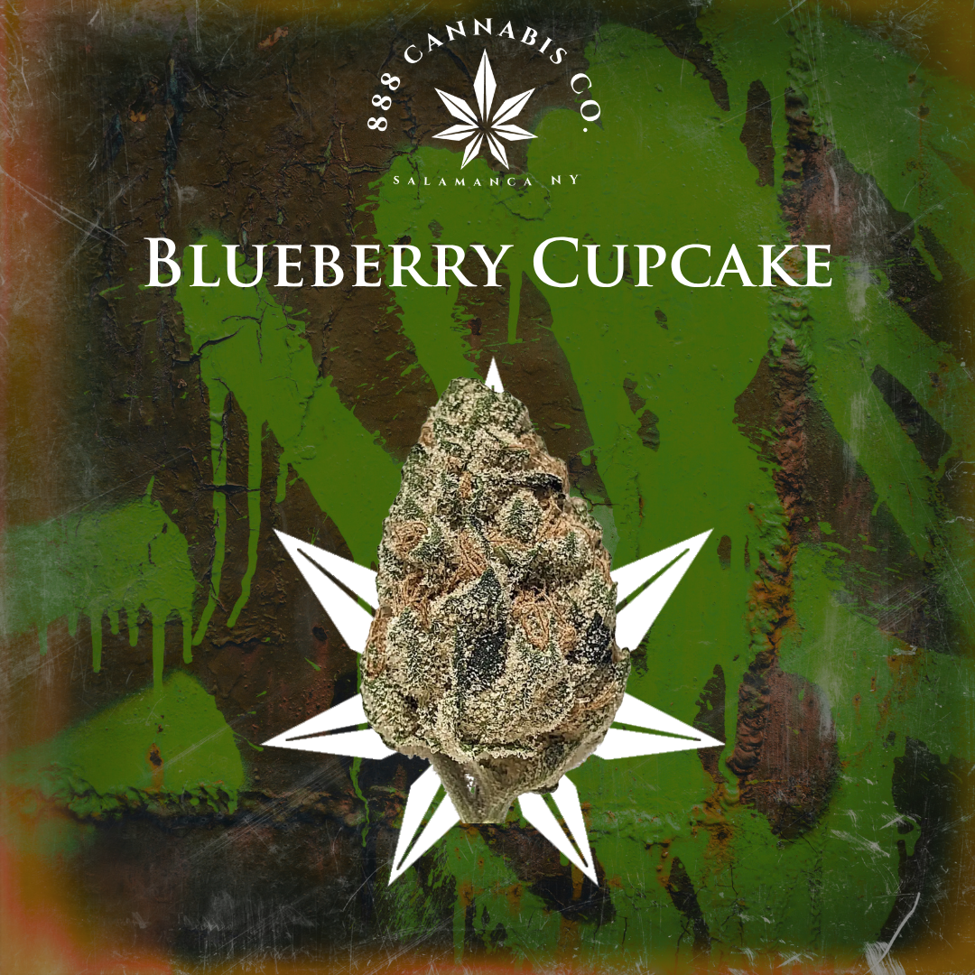 Blueberry Cupcake