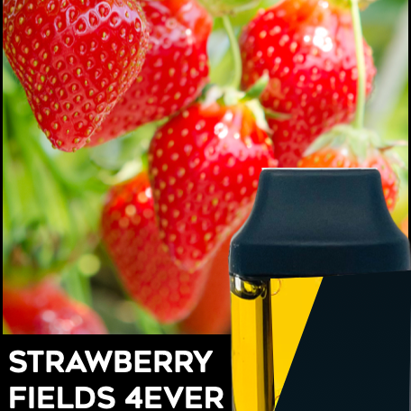 Elevate Holdings: Strawberry Fields