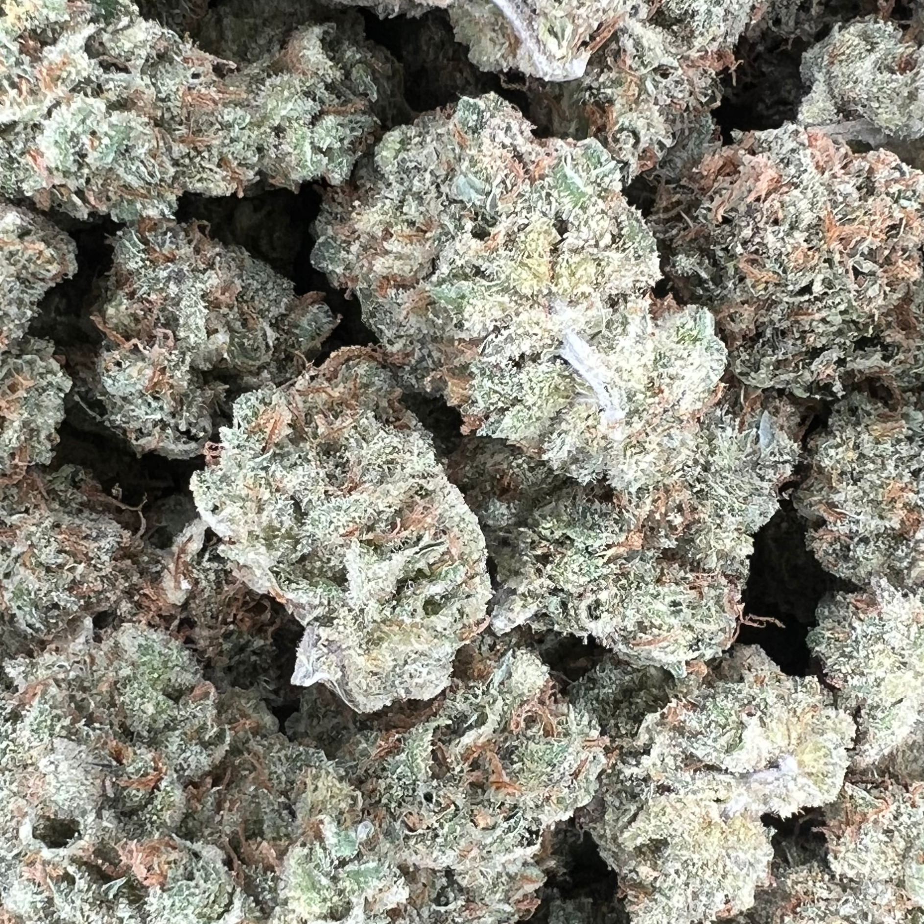 Hazy Valley: Super Silver Haze