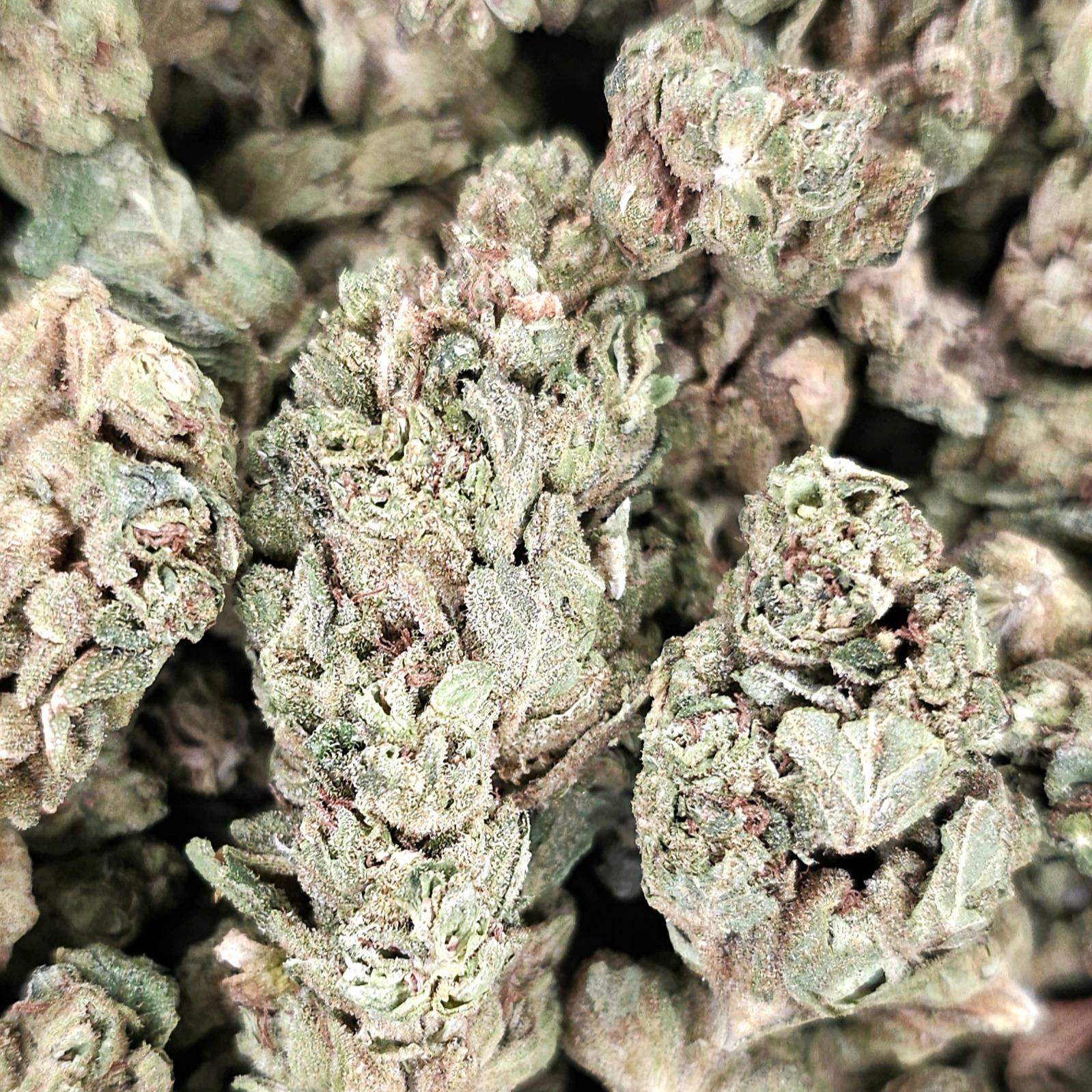 Remedy Ranch: High Octane