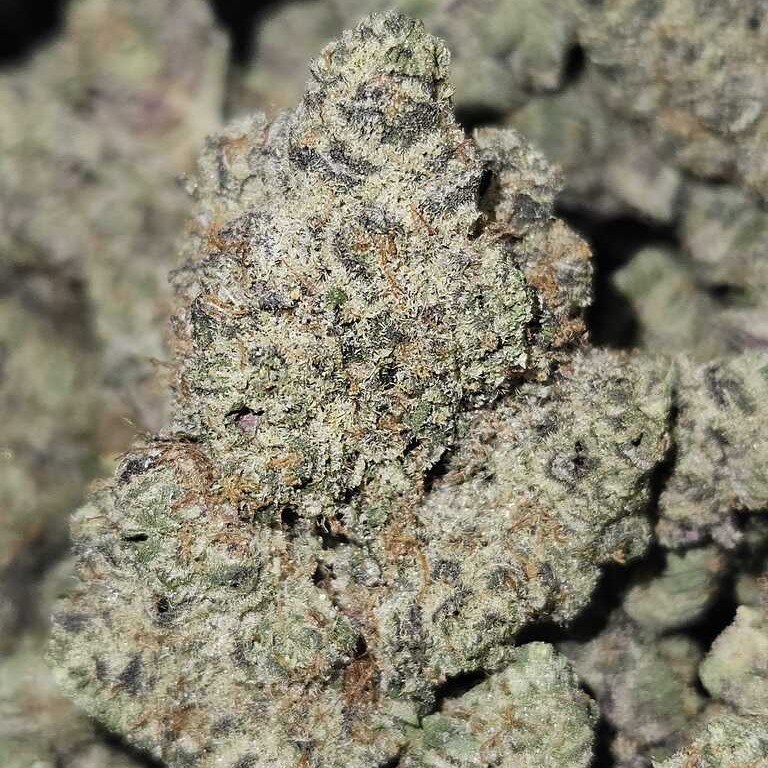 Rosebud Growers: Garlic Bread By Rosebud