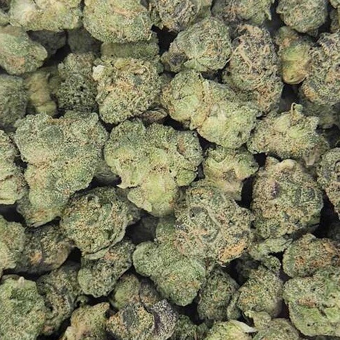 Sticky Farms: Black Maple