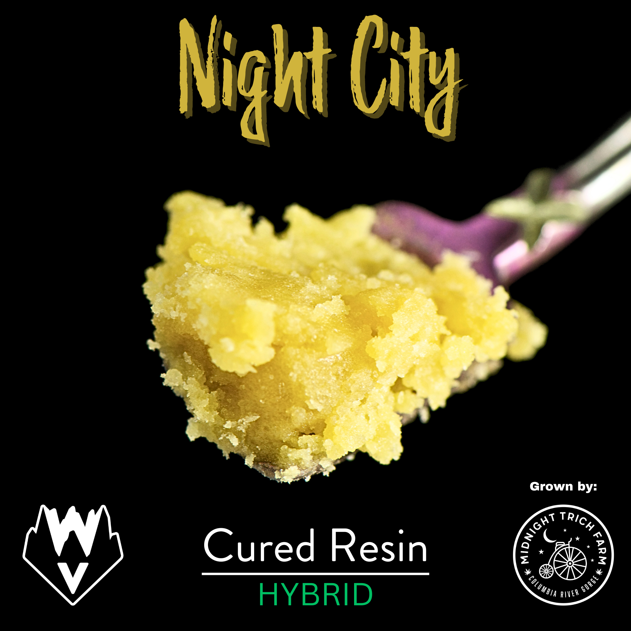 Willamette Valley Alchemy: Night City