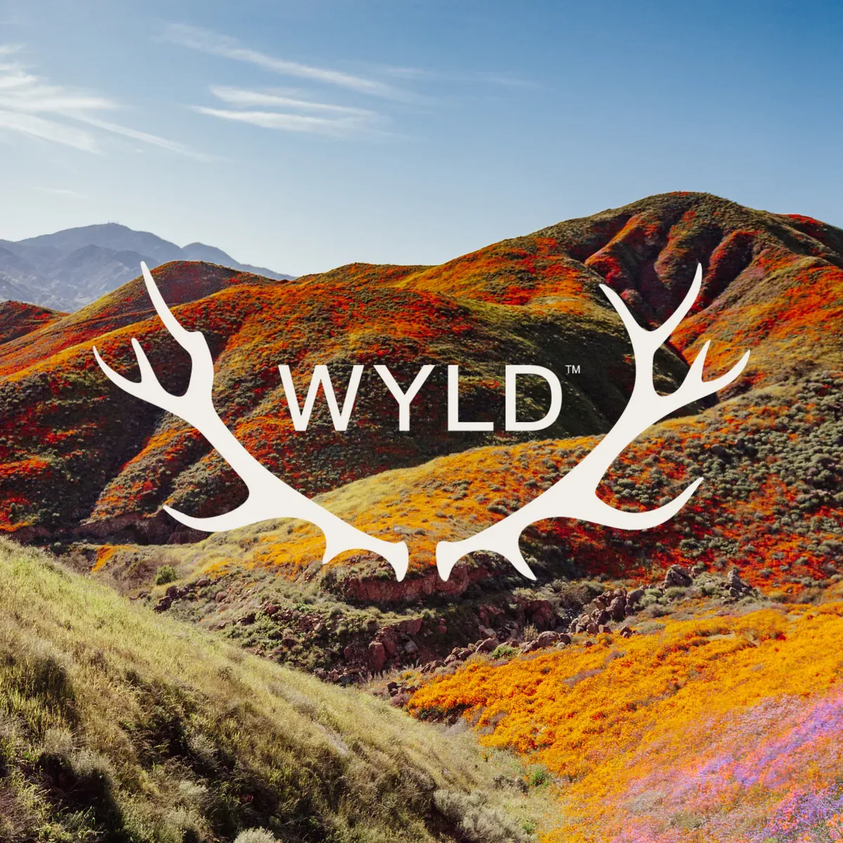 Wyld: One Ratio / /