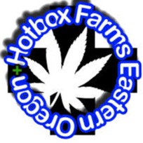 Hotbox Farms: Azul Blunts