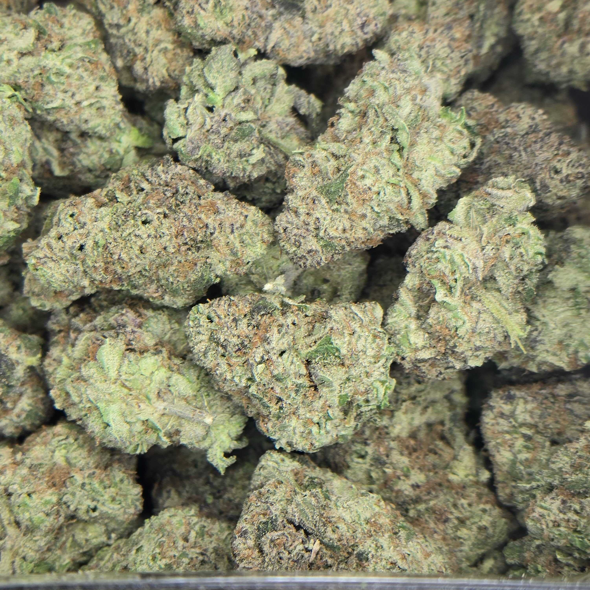 Panda Farms: Mule Fuel