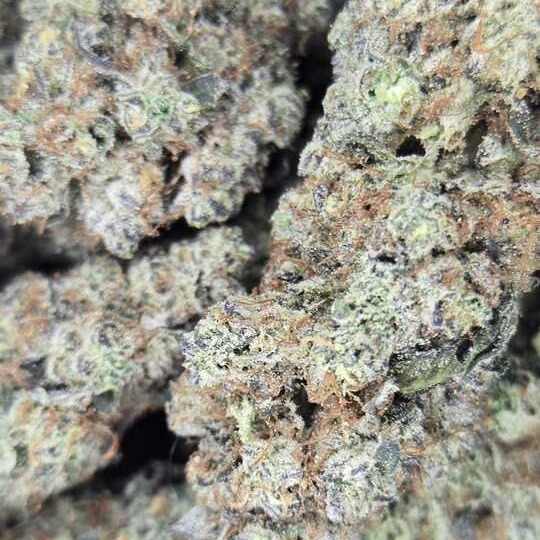 NUGZ FARM: Detroit Muscle