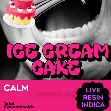 Freshy: Ice Cream Cake