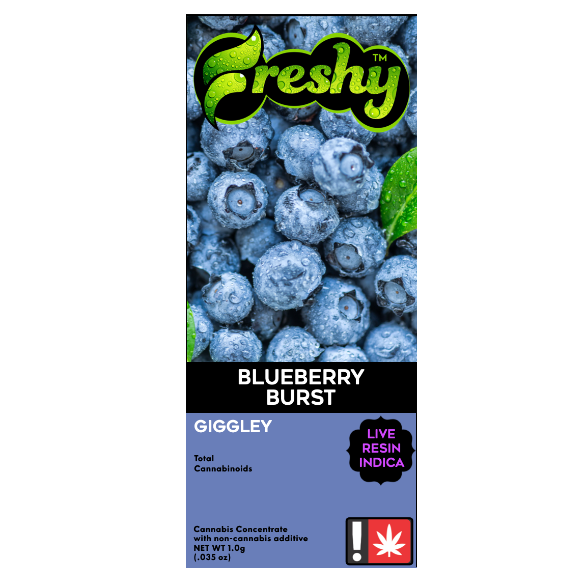 Freshy: Blueberry Burst