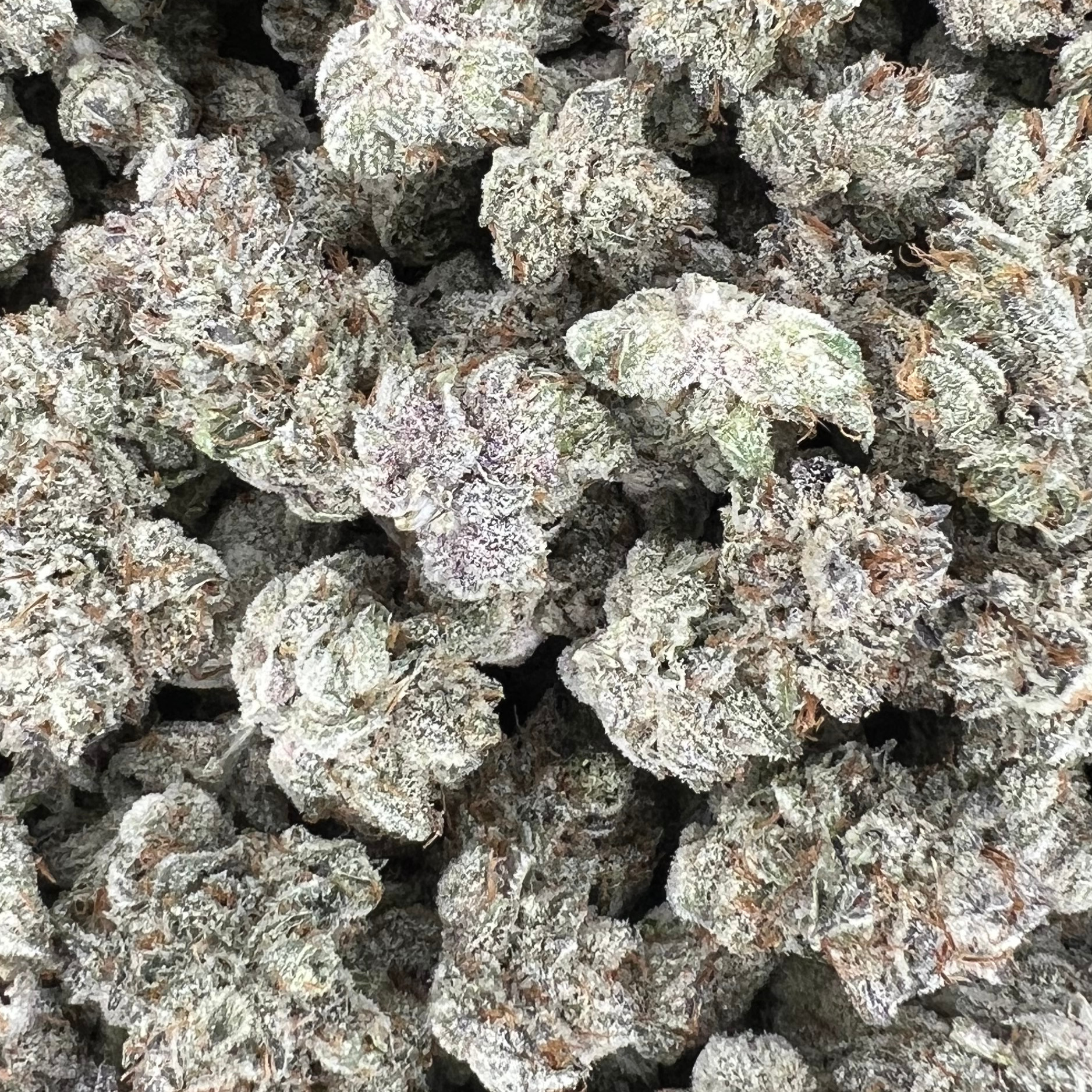 Hazy Valley: Northern Lights