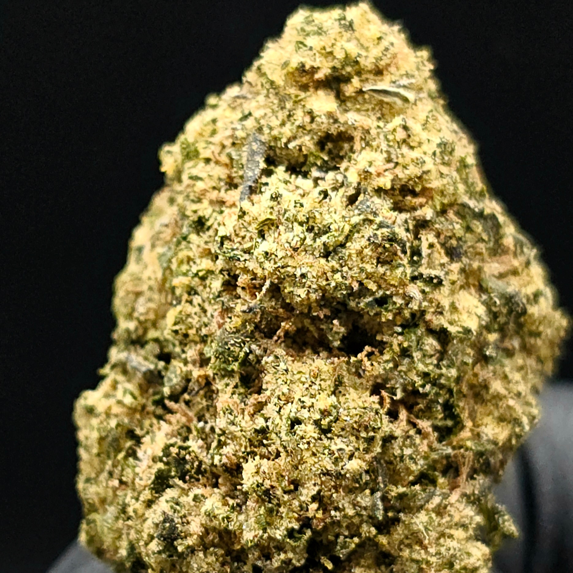 Blue & Yellow Farm: Gelato #33