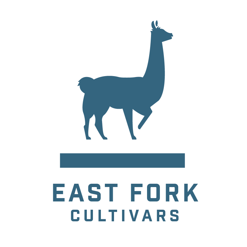 East Fork Cultivars: Pear Blossom