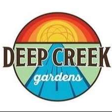 Deep Creek Gardens: Pineapple Princess