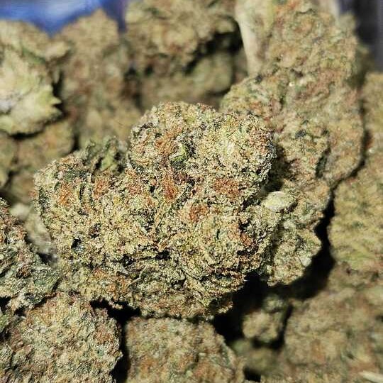 Left Coast Extracts: Marmalade By Left Coast