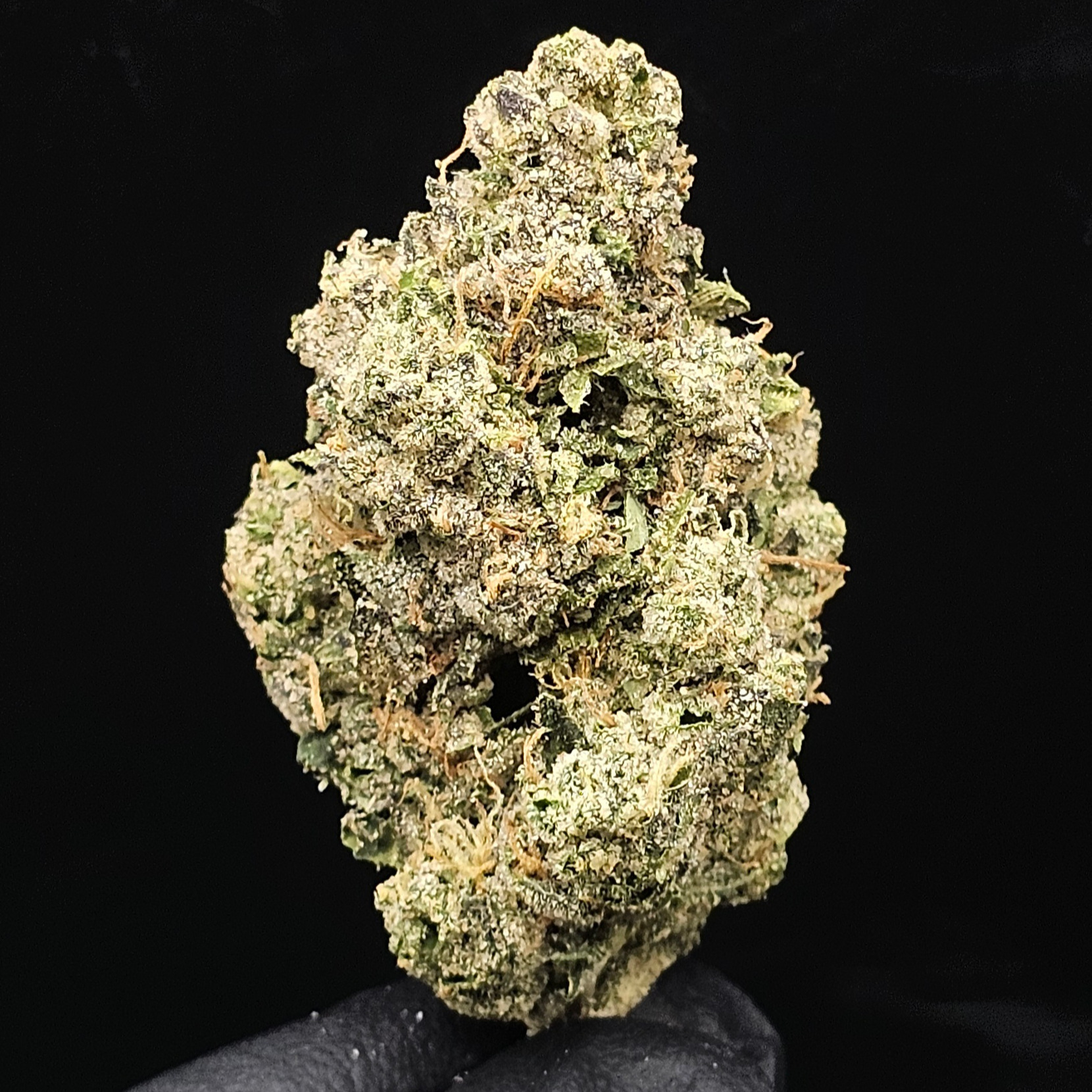 Highly Cultivated: Fire OG