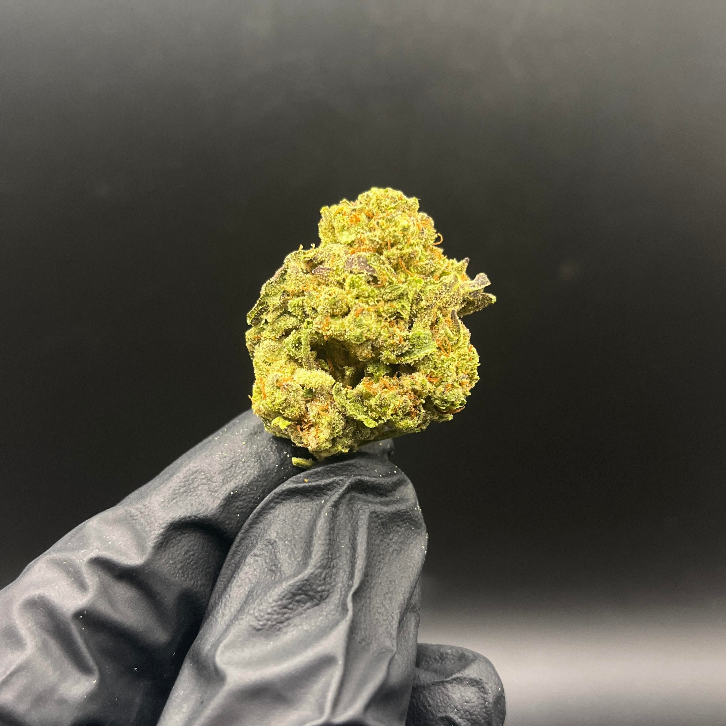 OreKron (Oregon): Purple Daquiri