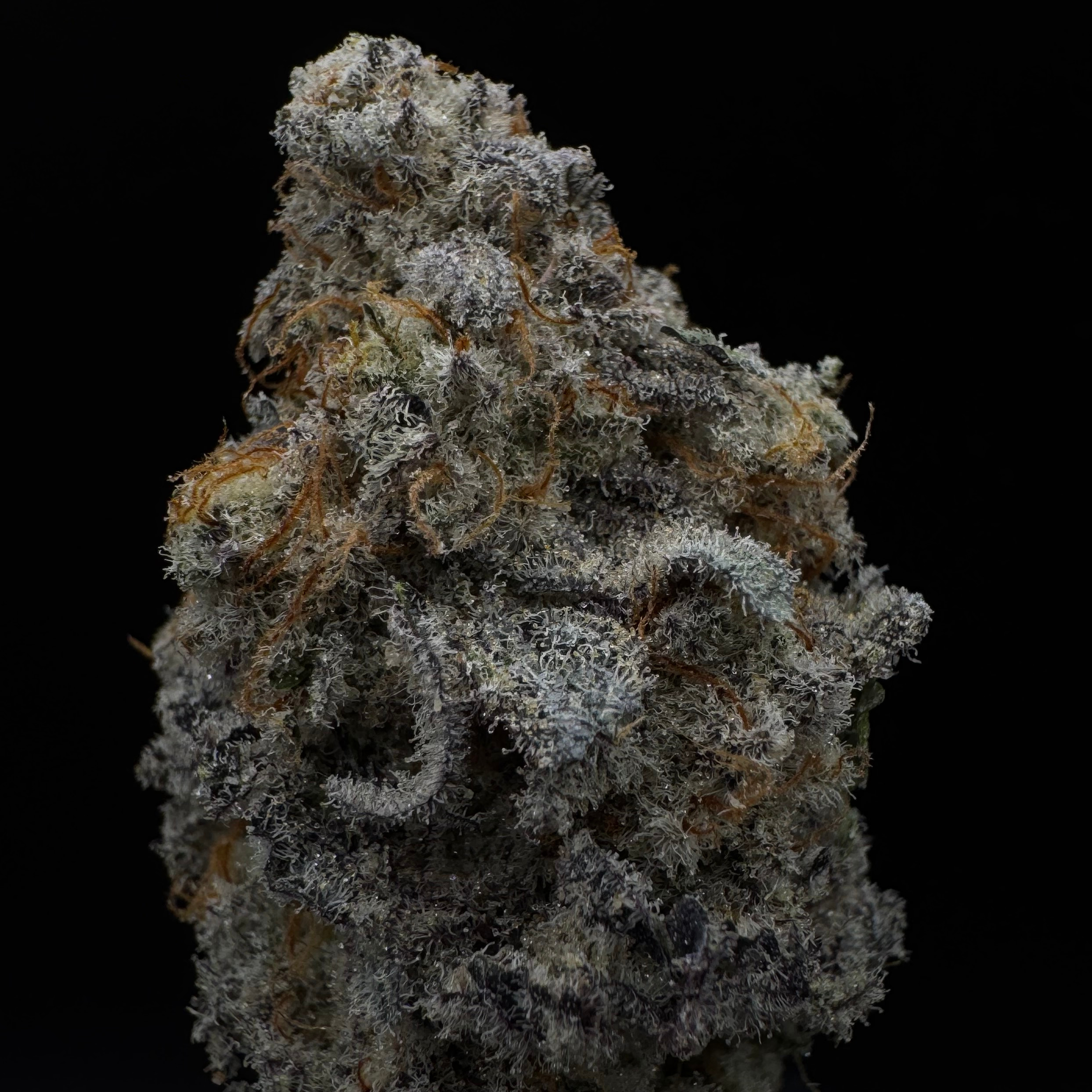 Evans Creek Farms: MAC