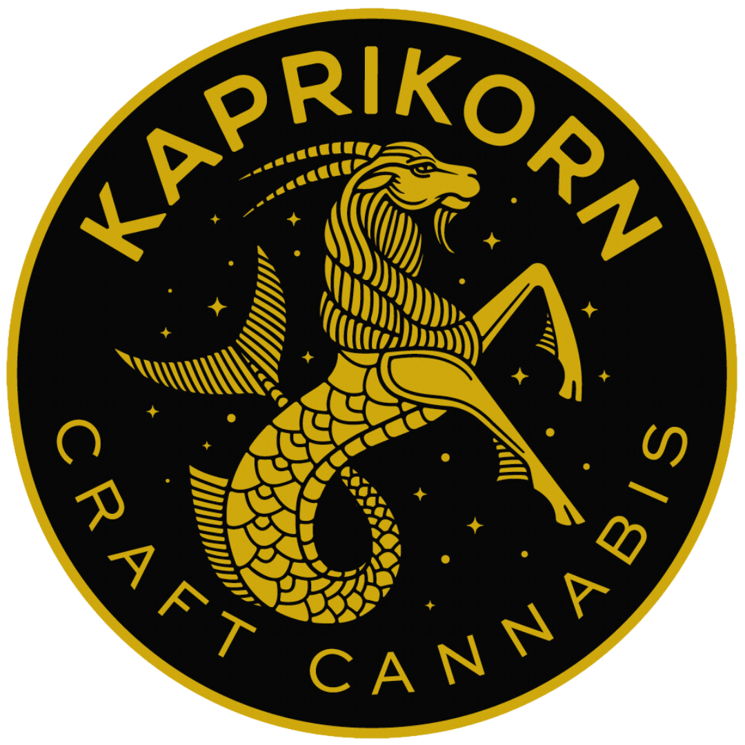 Kaprikorn: Permanent Lee Hi