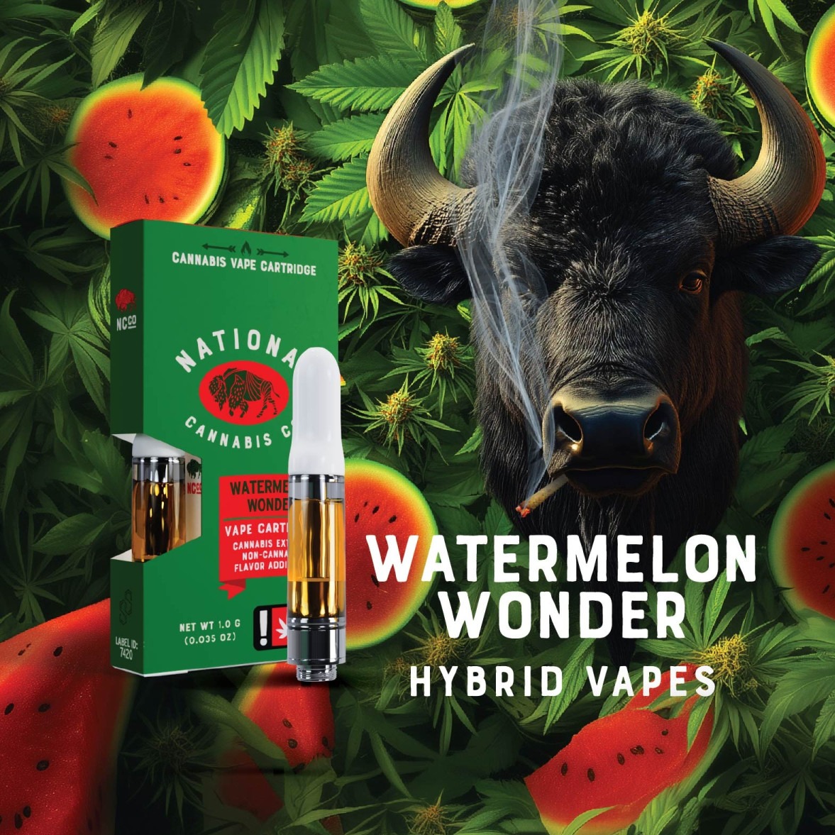 Elevate Holdings: Watermelon Wonder