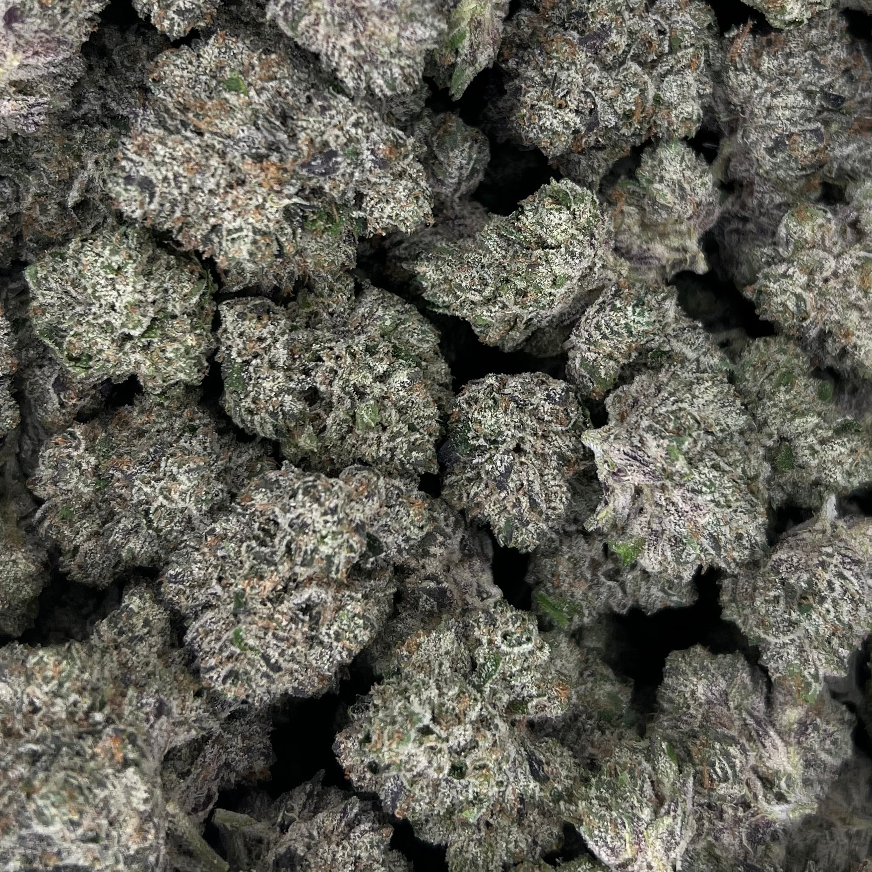 Resin Rancher's: Kelly Point