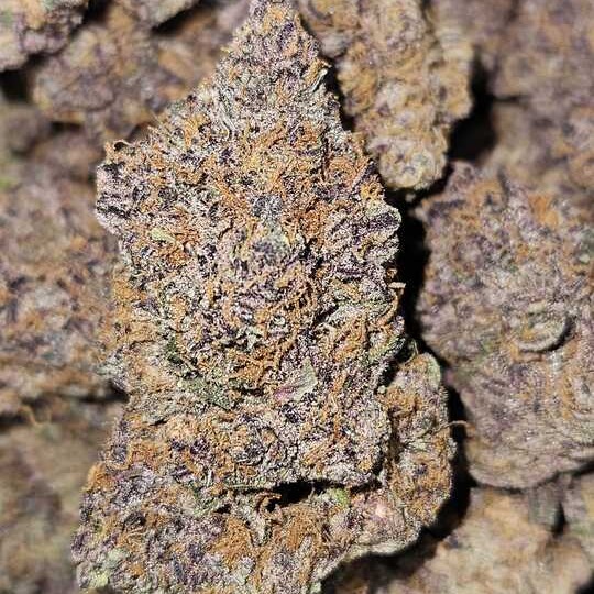NUGZ FARM: Power Surge By Nugz